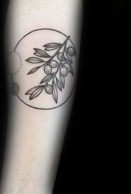 手臂黑色的橄榄枝纹身图案