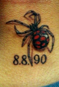 黑色和红色蜘蛛逼真纹身图案