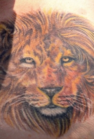 胸部狮子彩色纹身图案