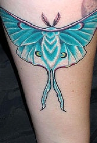 腿部蓝色的飞蛾纹身图案