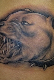 好斗的斗牛犬纹身图案