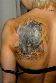 写实黑色豹饮水背部纹身图案