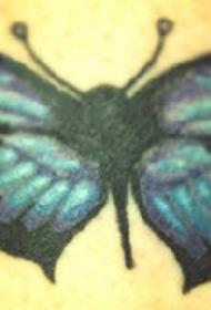 小小的蓝色蝴蝶纹身图案