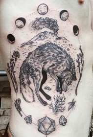 侧肋惊人的黑色睡眠狐狸和月亮周期纹身图案