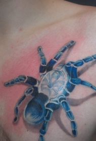 逼真的蓝色蜘蛛肩部纹身图案