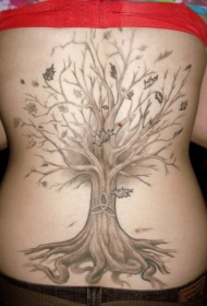 背部树与凯尔特符号和落叶纹身图案