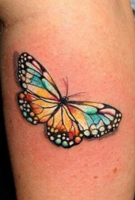 蝴蝶彩色小腿纹身图案