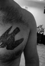 胸部写实的黑色飞鹰纹身图案