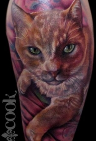 手臂写实风格彩色猫肖像纹身图案