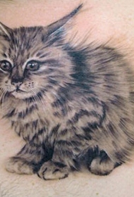毛茸茸的小猫纹身图案