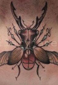 彩色昆虫脖子纹身图案