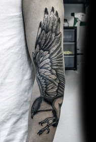 手臂非常逼真黑灰鹰纹身图案