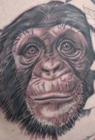可爱的黑灰黑猩猩头部纹身图案