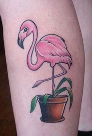 小腿粉红色的卡通火烈鸟与花盆纹身图案