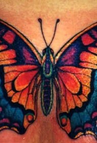 黄色和蓝色的蝴蝶纹身图案