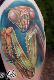 大臂彩色逼真的螳螂纹身图案