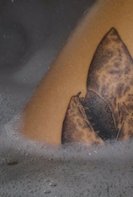 个性的黑白鲨鱼头部纹身图案