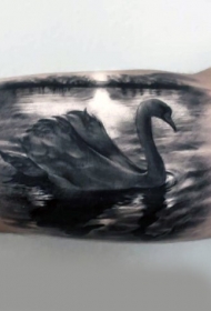 大臂真实逼真的黑色天鹅湖纹身图案