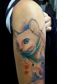 猫水彩画纹身图案