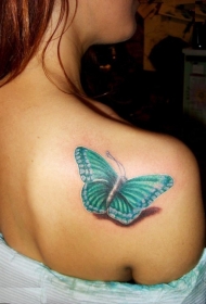 女性肩部写实逼真的可爱蝴蝶纹身图案
