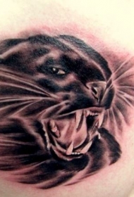 精彩的黑豹头胸部纹身图案