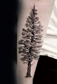 小臂高大的黑白树木纹身图案