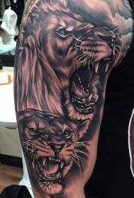 大臂黑灰风格狮子个性纹身图案