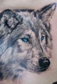 漂亮的蓝色眼睛狼纹身图案