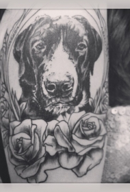 黑灰狗头像与玫瑰纹身图案