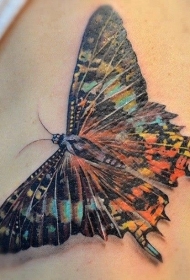 写实逼真的大蝴蝶纹身图案