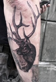 小臂写实黑灰个性鹿纹身图案