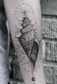 手臂黑色线条小海螺纹身图案