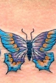 彩色部落图腾和蝴蝶纹身图案