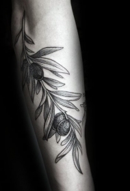 小臂优雅的灰色橄榄枝纹身图案