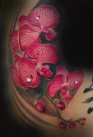 红色蝴蝶兰花朵与露珠逼真纹身图案