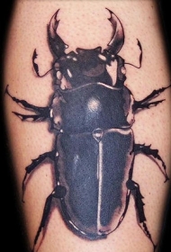 写实逼真的黑灰甲虫纹身图案
