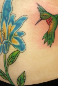 绿色蜂鸟和蓝色的花朵纹身图案