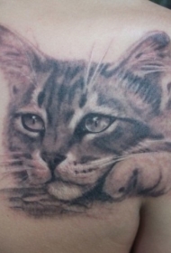 背部悲伤的猫纹身图案