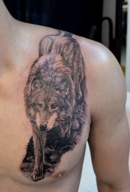 胸部和肩膀逼真的狼纹身图案