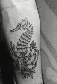 小臂黑色线条海马与珊瑚纹身图案