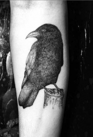 小臂简单的幻想黑色乌鸦纹身图案