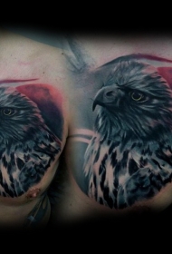 胸部写实风格彩色老鹰纹身图案