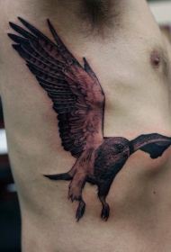 侧肋华丽的黑灰飞鹰纹身图案