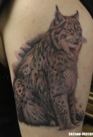 手臂逼真的野猫纹身图案