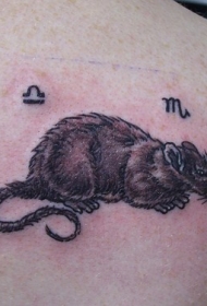 黑色老鼠和符号纹身图案