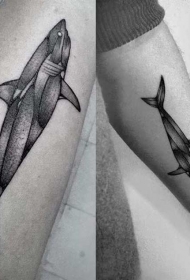 小臂黑色超薄肌肉鲨鱼纹身图案
