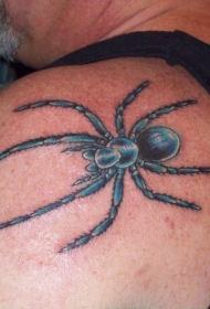 蓝色的蜘蛛肩部纹身图案