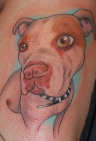 彩色斗牛梗犬纹身图案