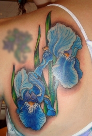 背部好看的蓝色花朵纹身图案