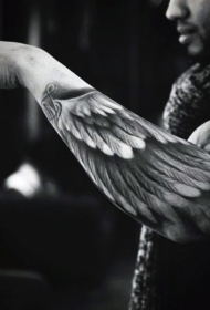 手臂简单设计的黑灰翅膀纹身图案